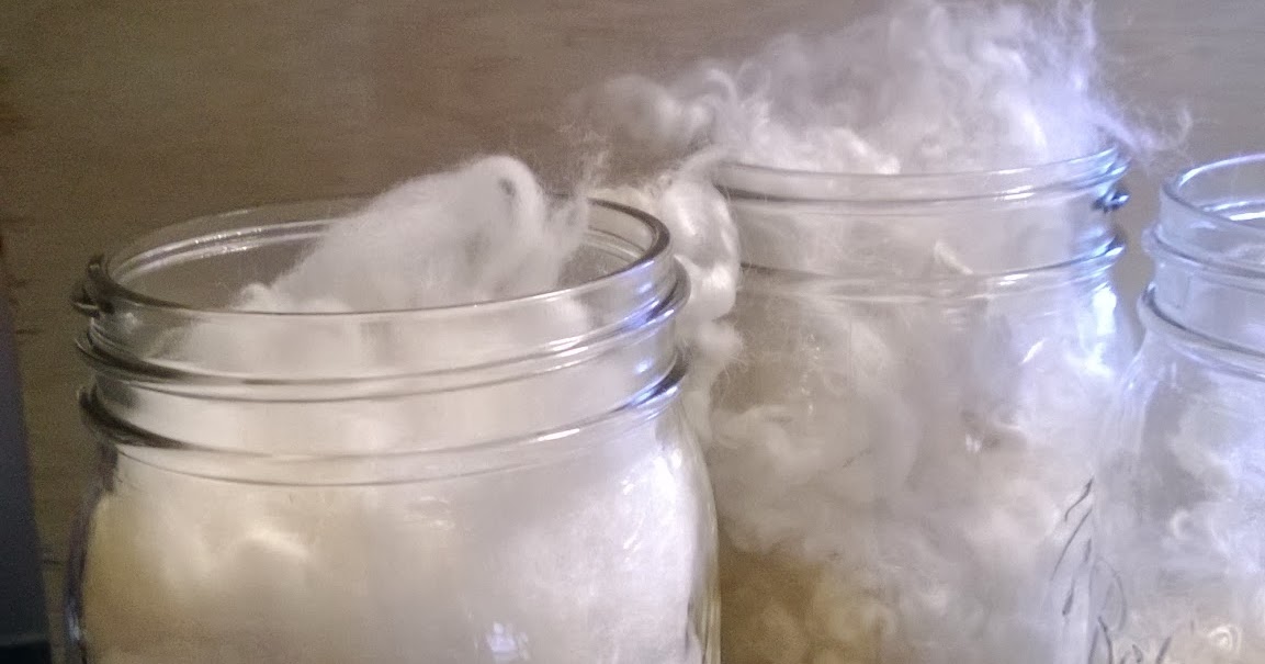 Gardner Street Dyeing Fiber in Mason Jars Oven technique